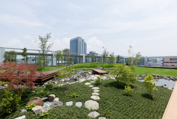 Taman Jepang di Atap